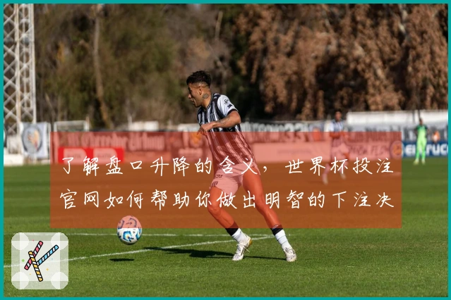 了解盘口升降的含义，世界杯投注官网如何帮助你做出明智的下注决策