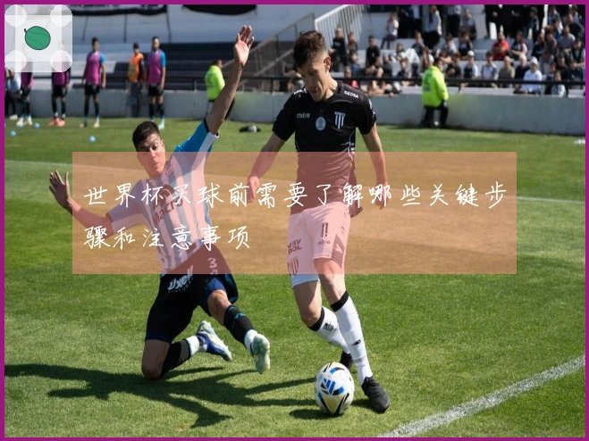 世界杯买球前需要了解哪些关键步骤和注意事项