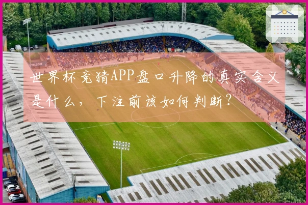 世界杯竞猜APP盘口升降的真实含义是什么，下注前该如何判断？