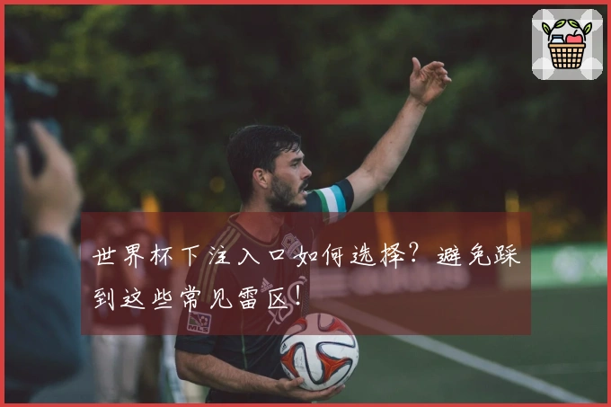 世界杯下注入口如何选择？避免踩到这些常见雷区！