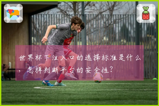 世界杯下注入口的选择标准是什么，怎样判断平台的安全性？