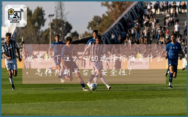 世界杯下注入口的选择标准是什么，怎样判断平台的安全性？
