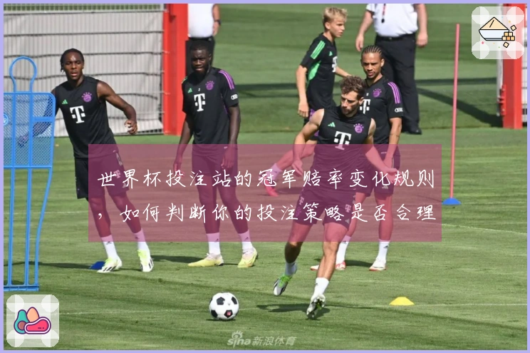 世界杯投注站的冠军赔率变化规则，如何判断你的投注策略是否合理
