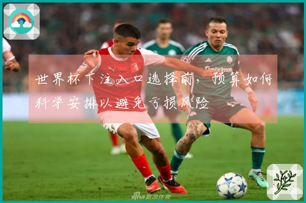 世界杯下注入口选择前，预算如何科学安排以避免亏损风险