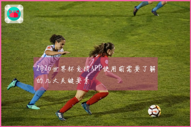 2026世界杯竞猜APP使用前需要了解的几大关键要素