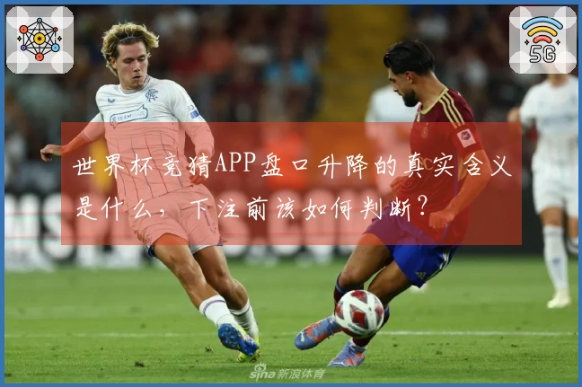 世界杯竞猜APP盘口升降的真实含义是什么,下注前该如何判断?