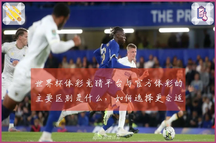 世界杯体彩竞猜平台与官方体彩的主要区别是什么，如何选择更合适的下注渠道？