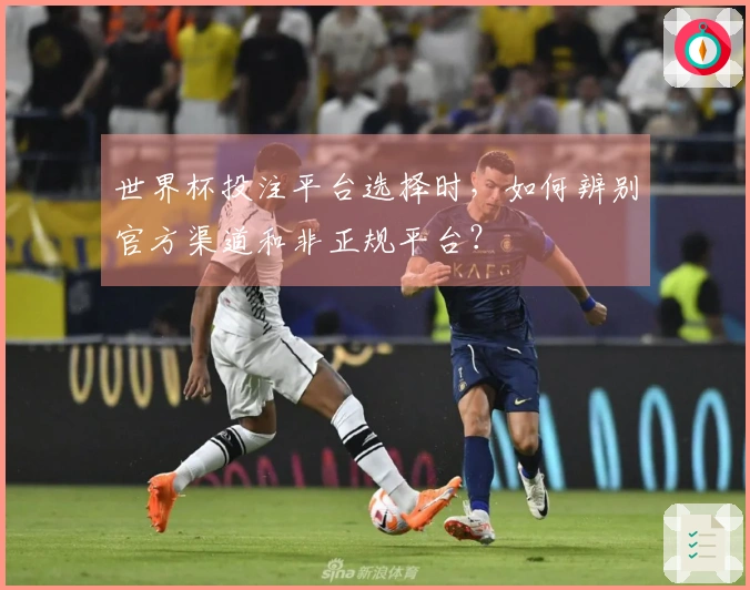 世界杯投注平台选择时，如何辨别官方渠道和非正规平台？