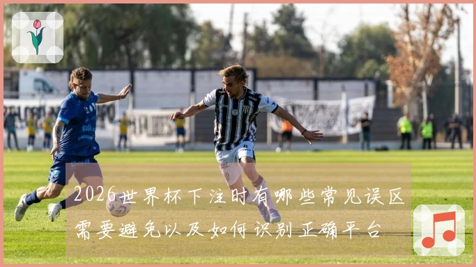 2026世界杯下注时有哪些常见误区需要避免以及如何识别正确平台