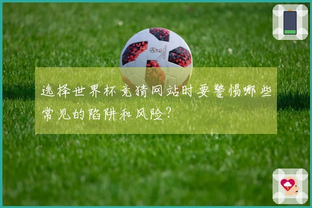 选择世界杯竞猜网站时要警惕哪些常见的陷阱和风险？
