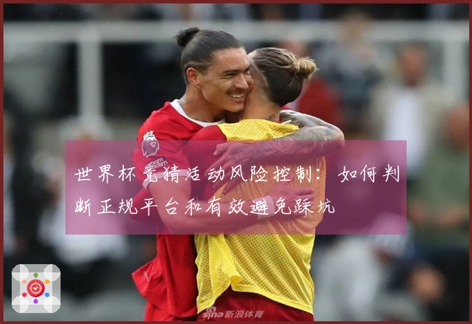 世界杯竞猜活动风险控制：如何判断正规平台和有效避免踩坑
