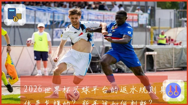 2026世界杯买球平台的返水规则具体是怎样的？新手该如何判断？