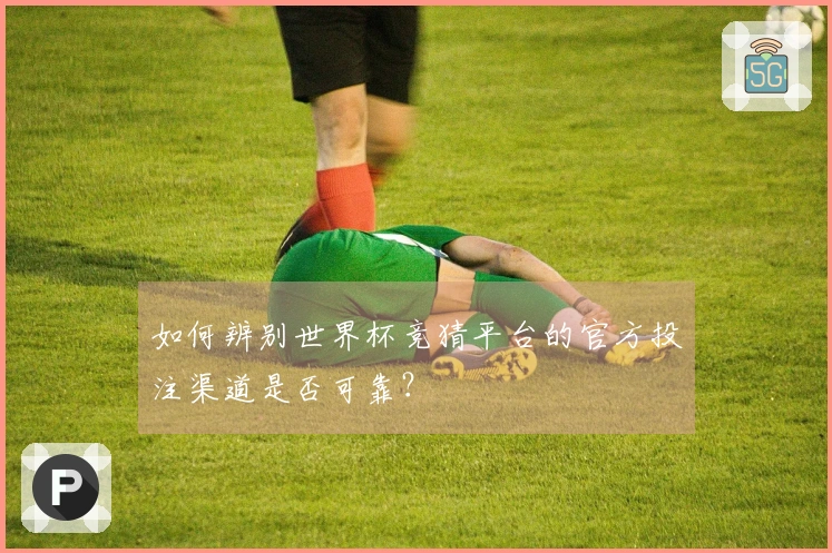 如何辨别世界杯竞猜平台的官方投注渠道是否可靠?