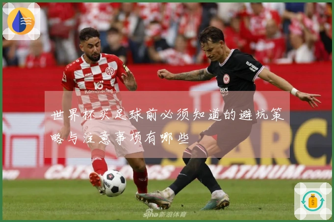 世界杯买足球前必须知道的避坑策略与注意事项有哪些