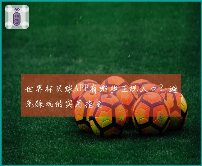 世界杯买球APP有哪些正规入口?避免踩坑的实用指南