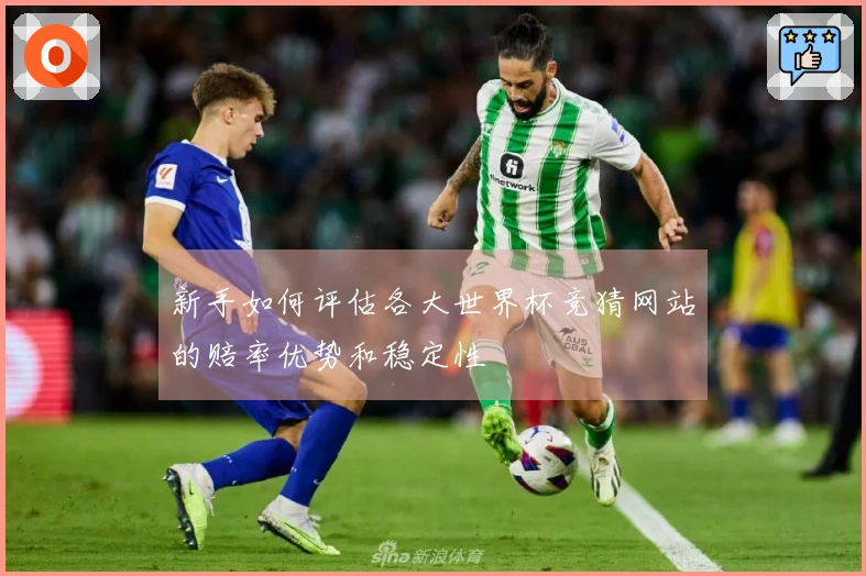新手如何评估各大世界杯竞猜网站的赔率优势和稳定性
