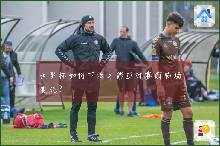 世界杯如何下注才能应对赛前临场变化？