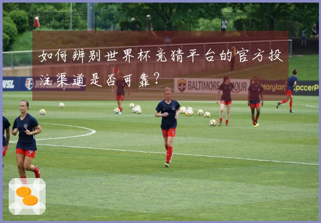 如何辨别世界杯竞猜平台的官方投注渠道是否可靠？