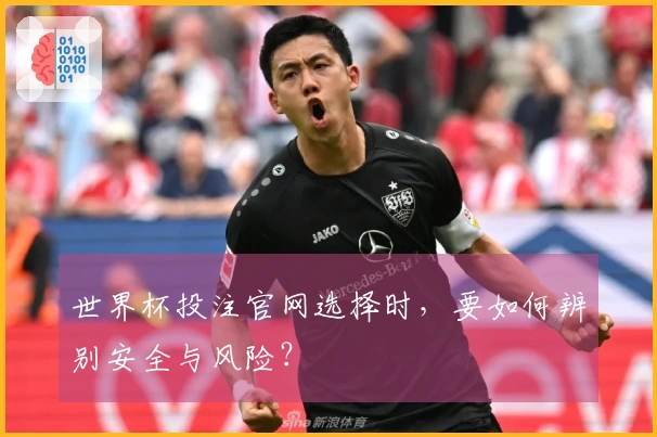 世界杯投注官网选择时，要如何辨别安全与风险？