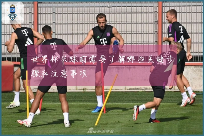 世界杯买球前需要了解哪些关键步骤和注意事项