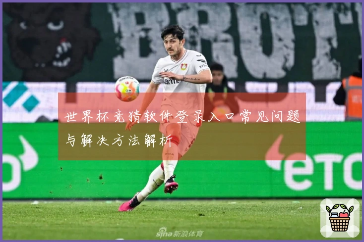 世界杯竞猜软件登录入口常见问题与解决方法解析