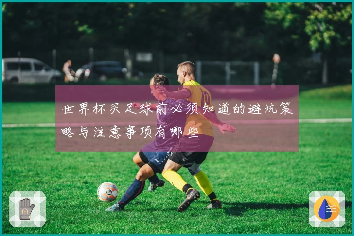世界杯买足球前必须知道的避坑策略与注意事项有哪些